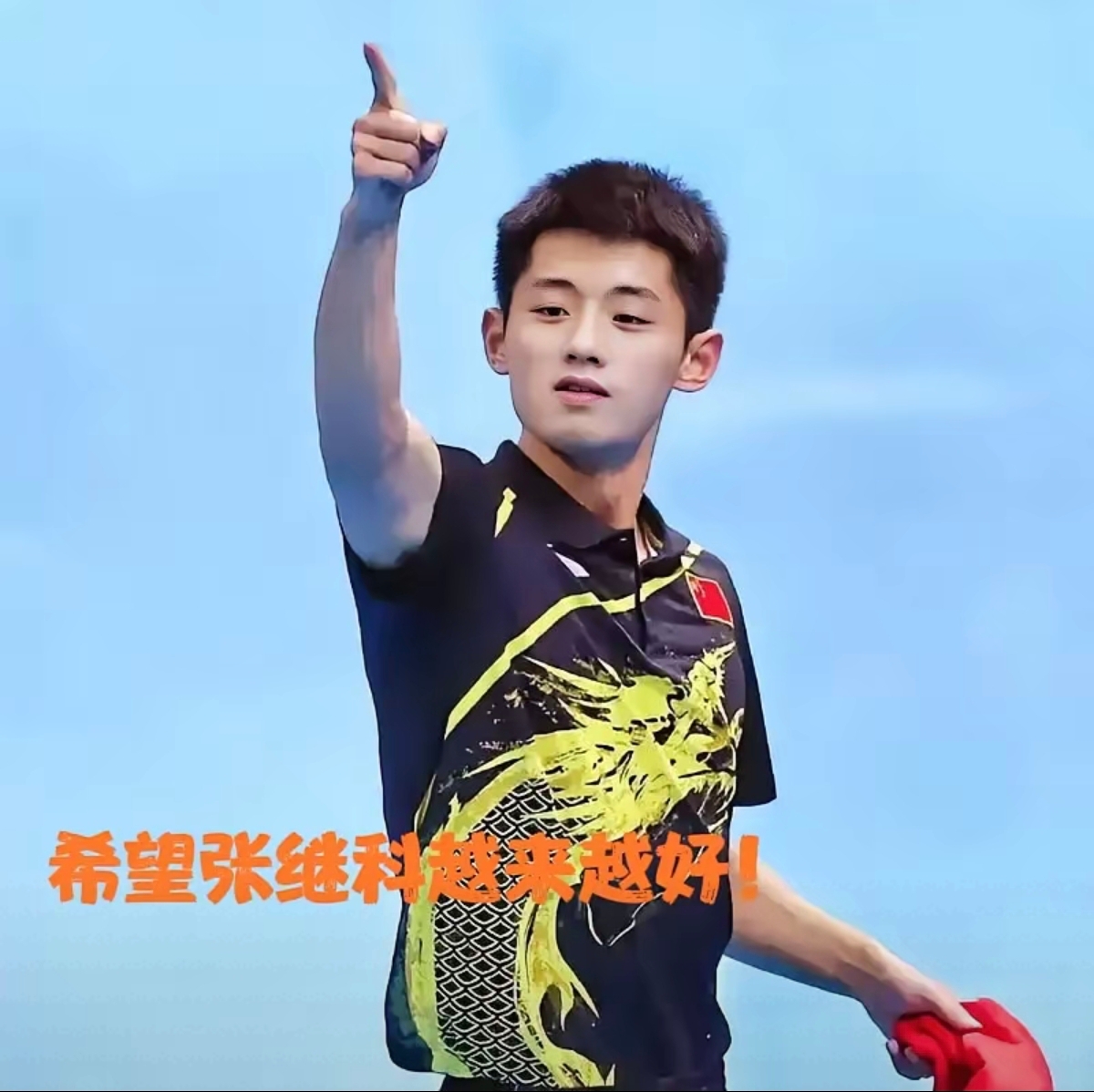 瑞典队完胜中国队，张继科高光表现的简单介绍