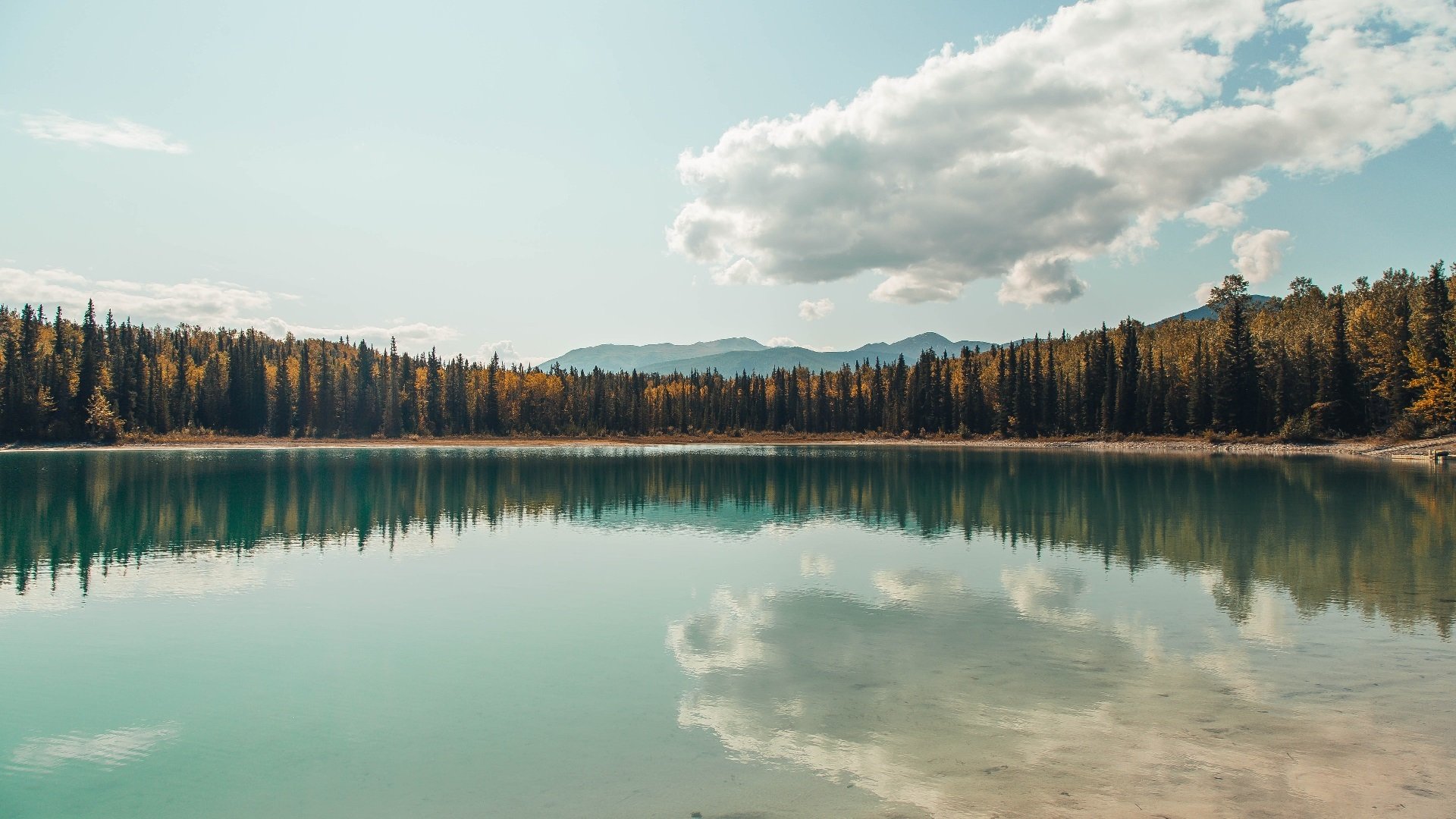 金色狂潮吞没麦加，无名乔治一剑封喉