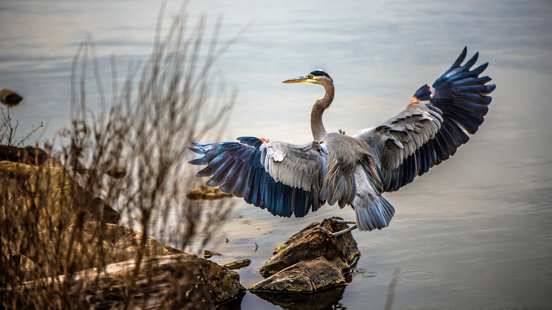 当黄昏击碎黎明,巴拉圭唯一一次在巅峰对决中胜出阿尔及利亚,罗德里戈如何成为改写历史的暗夜行者