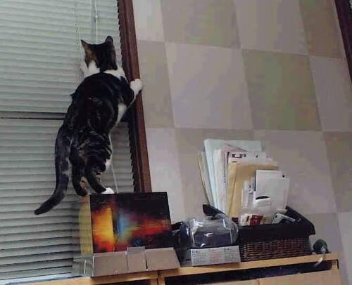 跨时空对决，篮网淘汰老鹰，约基奇如何成为关键先生？