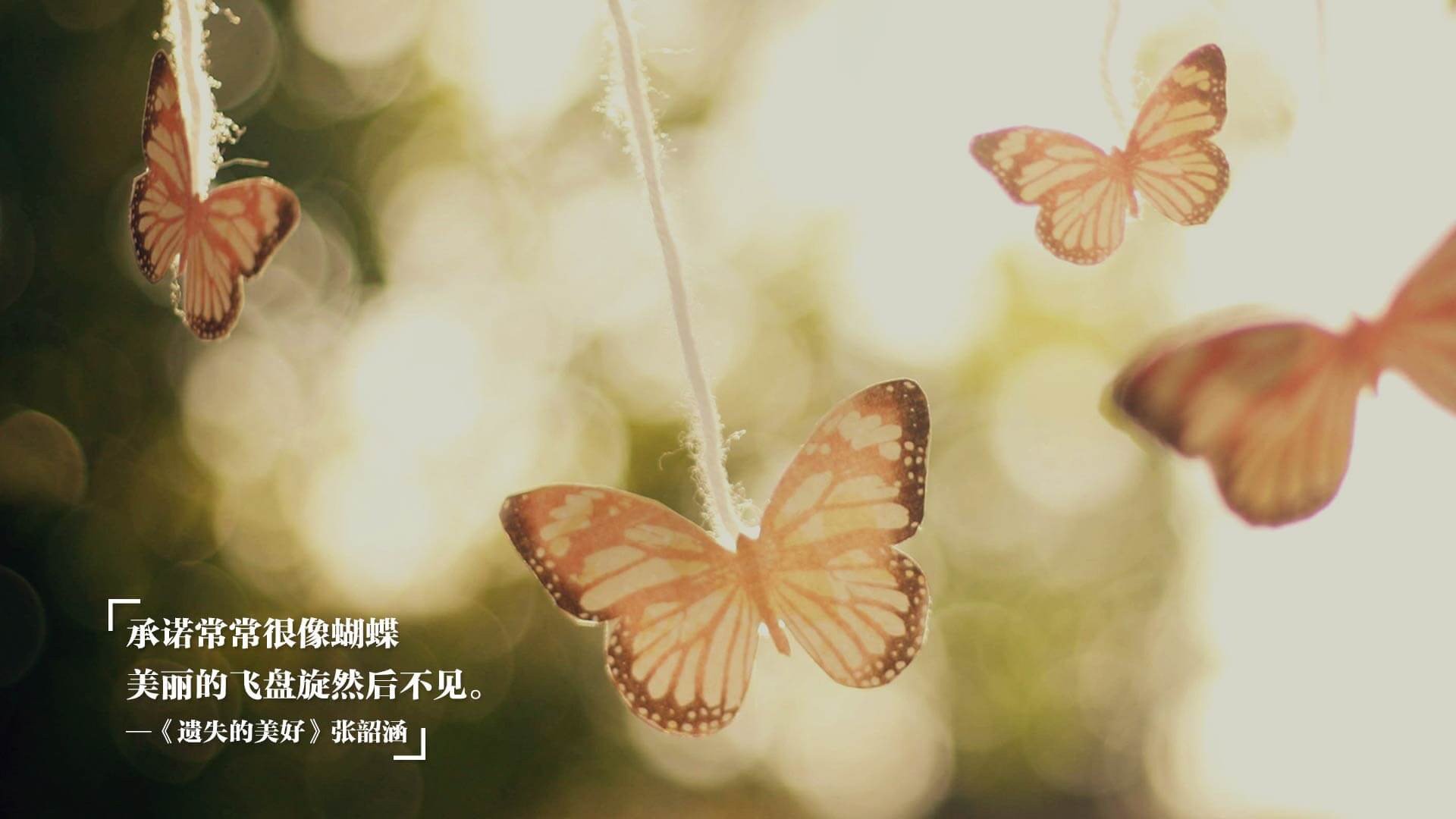 马刺班凯罗惊艳深圳夜空，一场篮球，两处梦境