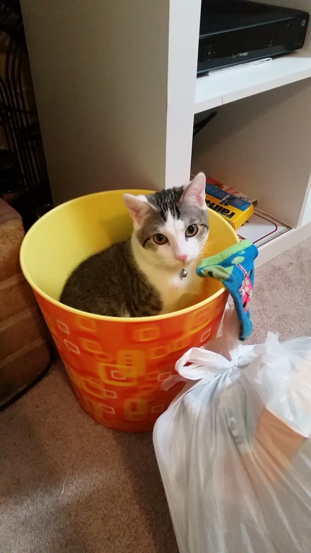 从安第斯山脉到老特拉福德，一场跨越万里的关键先生接力