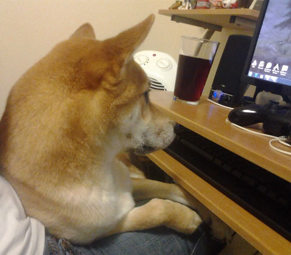 东决决战夜,西部之魂降临,莫兰特用非东决表现定义何为冠军之心