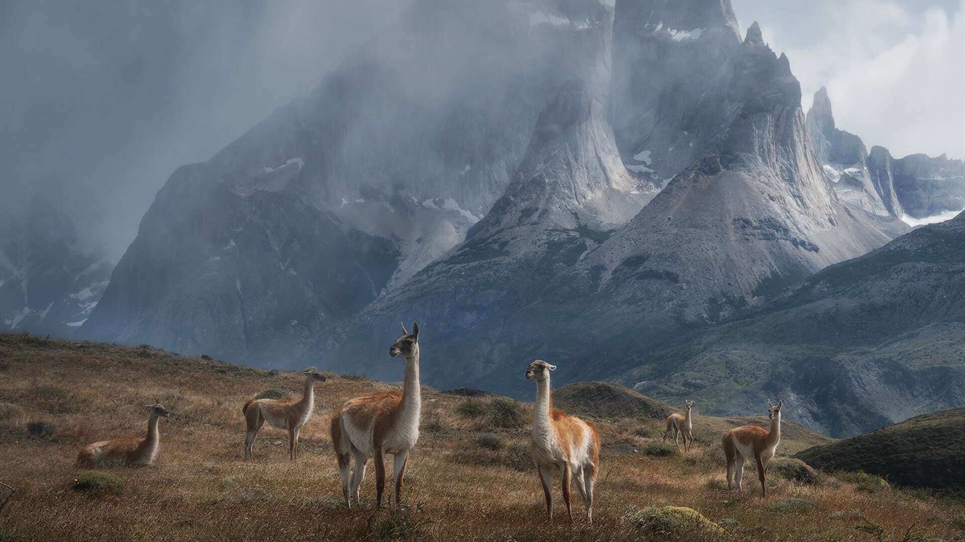 扬眉剑出鞘，西甲国家德比之夜，李刚仁成为胜负手