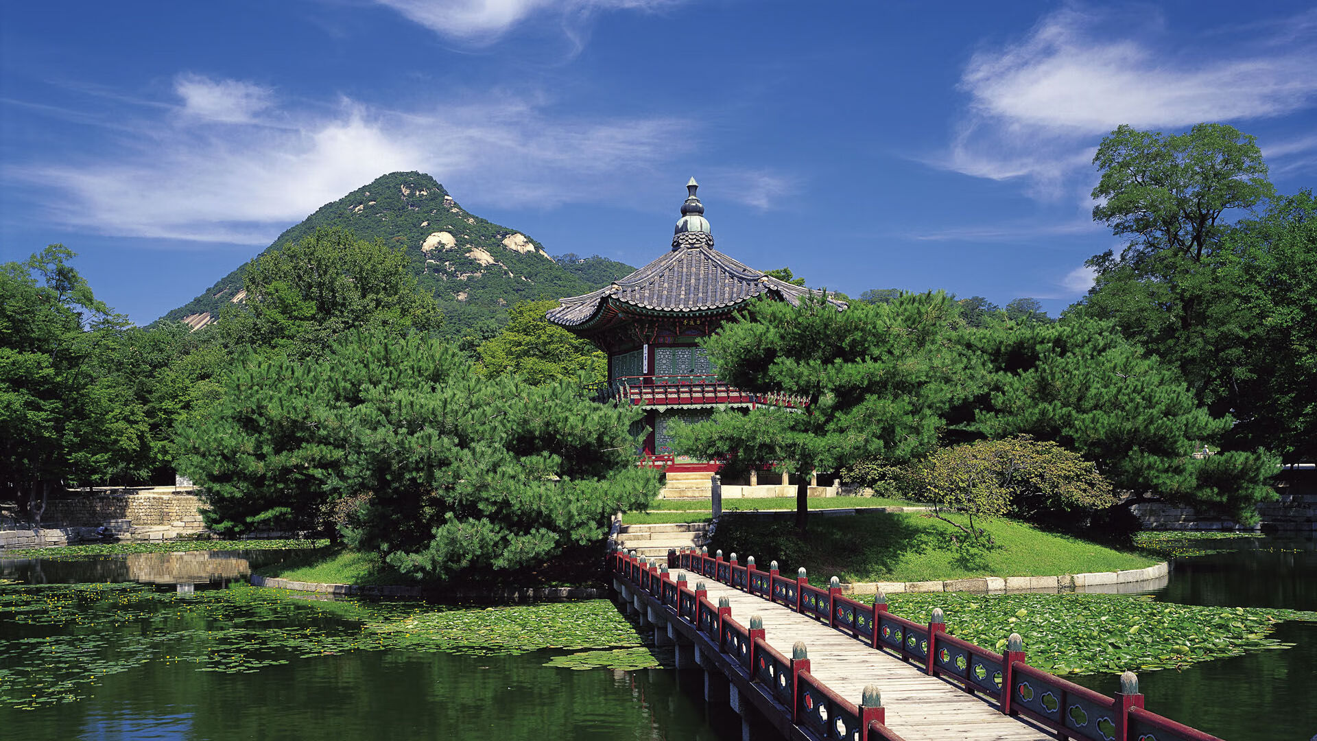 阿克点燃赛场,洪都拉斯火力全开压制勒沃库森