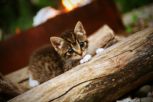 阴影中的舞者,奥亚尔萨瓦尔如何以一脚终结国家德比的喧嚣