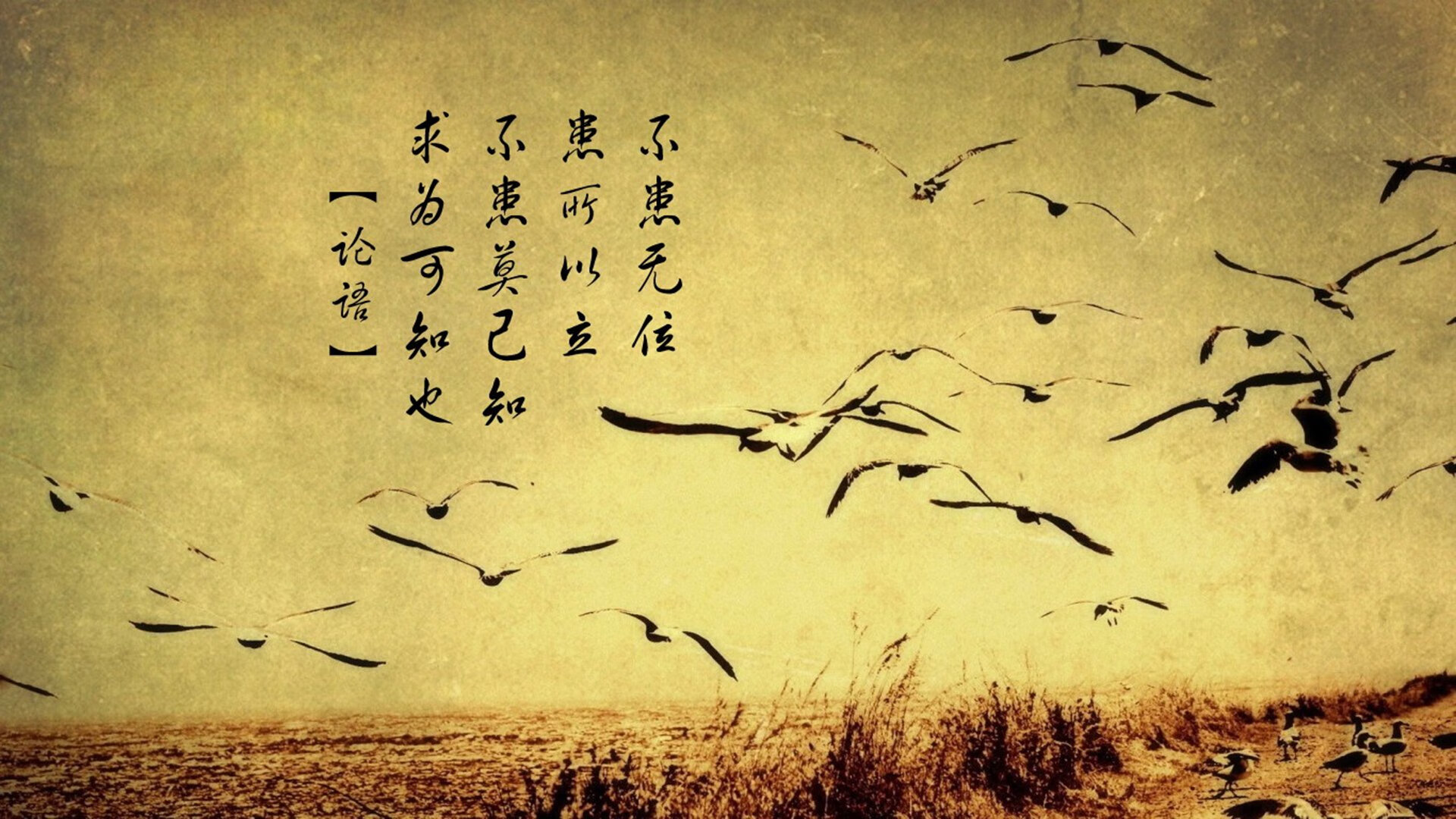 开云体育-平行宇宙之战，布伦森降世风城，公牛血战逆转太阳