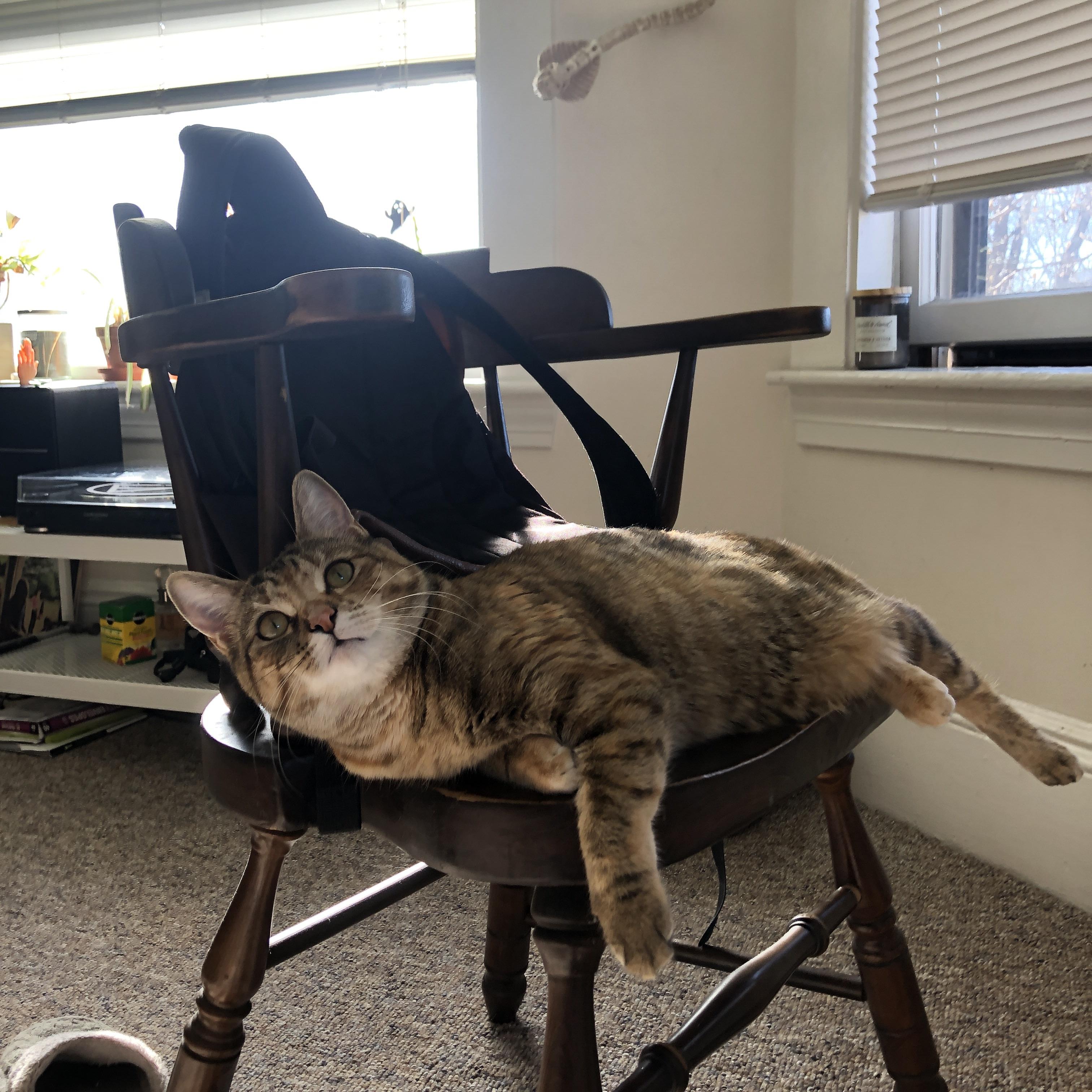 奥亚尔萨瓦尔独舞撕裂钢铁防线，摩纳哥硬仗中终结拉齐奥欧洲征程