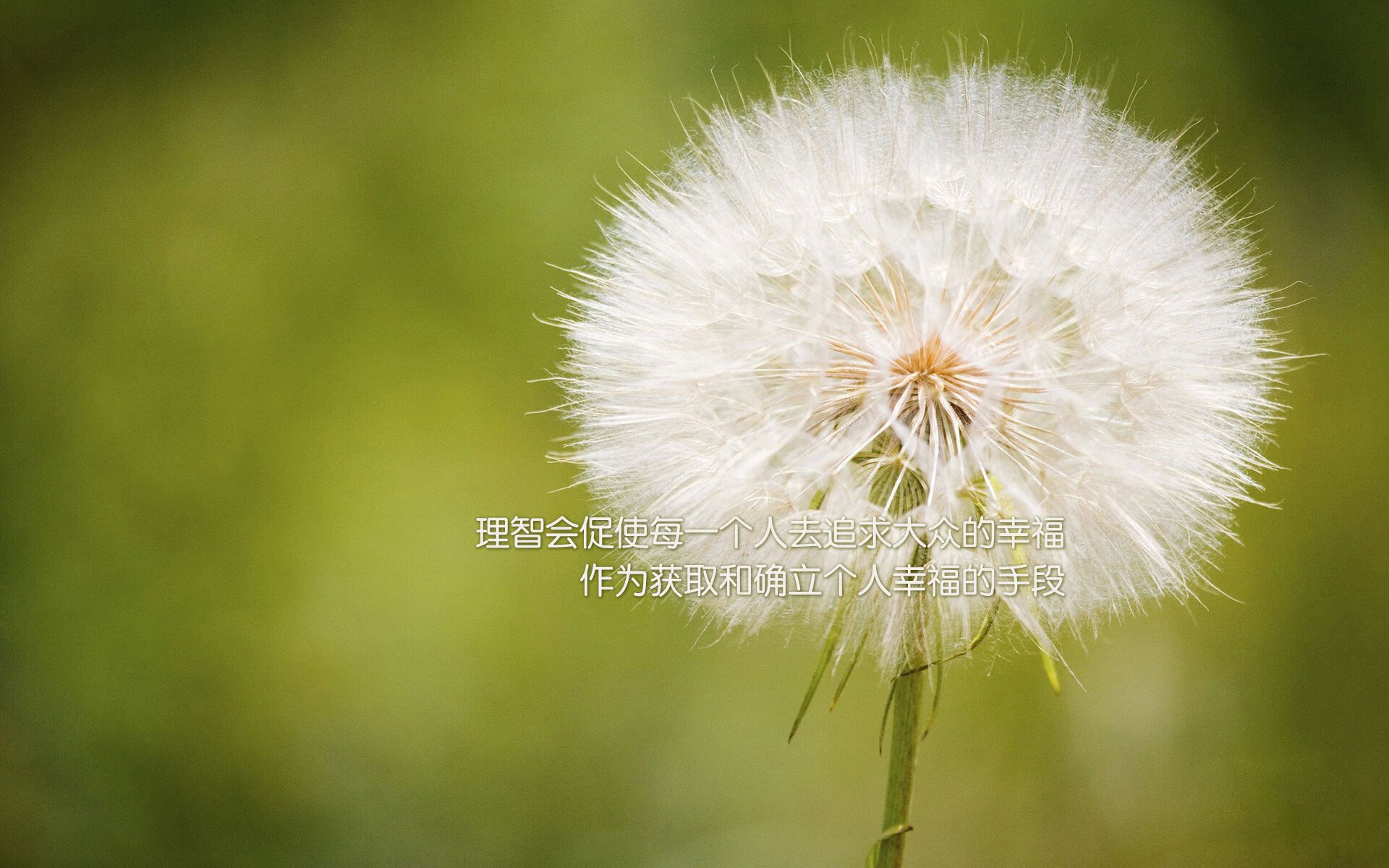 防守的艺术，从法国锁死希腊到布鲁诺统治F1揭幕战