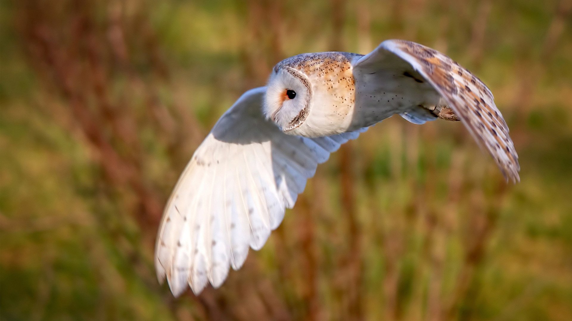 三重绝境，千钧一发，欧冠半决赛之夜托尼如何逆天改命