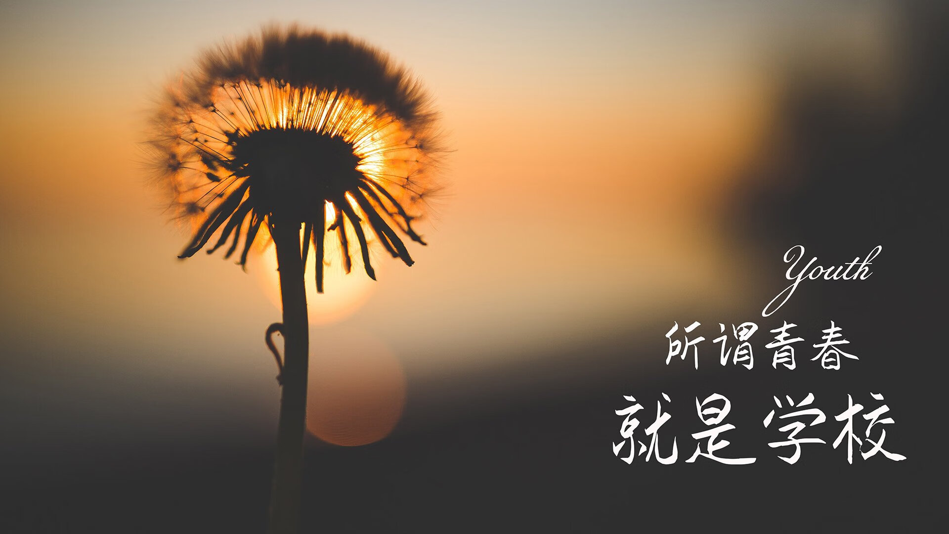 唯一性之战，2026世界杯H组，齐耶赫导演东瀛风暴，日本以攻守转换的极致艺术压制巴西