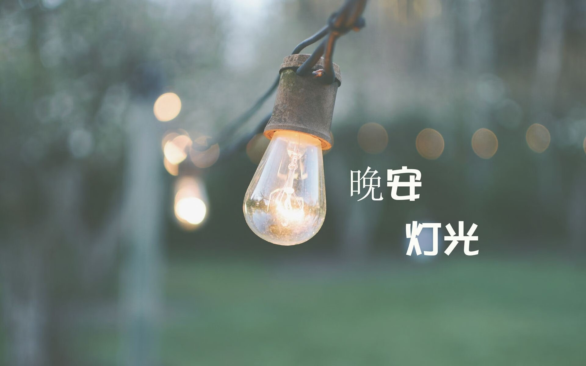 布罗佐维奇，世界杯头名之争的隐形总指挥，如何用一脚出球肢解袋鼠军团