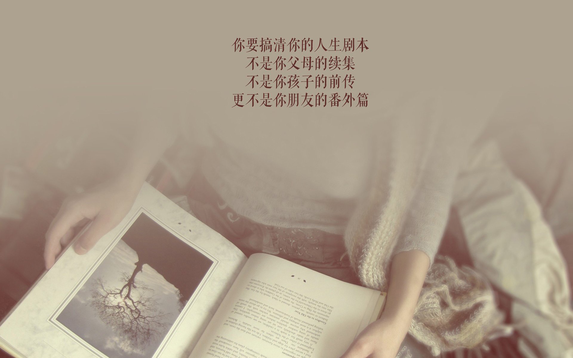 非典型完胜，当瑞典的钢铁洪流，遇上泰国的不屈灵魂—2026世界杯B组启示录